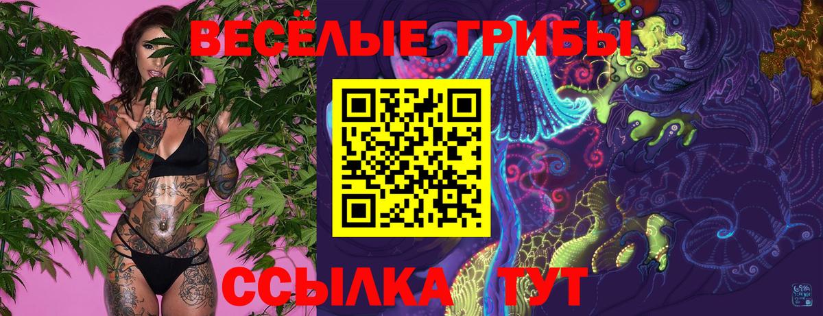Вышний Волочёк  Псилоцибиновые грибы Magic Shrooms  Псилоцибиновые грибы прущие грибы  Вход с VPN 